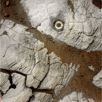 The "Mark" - Sol 639 (possible True Colors; credits: Dr G. Barca)
nessun commento
Parole chiave: Martian Surface - Paving and Berries - Victoria Crater