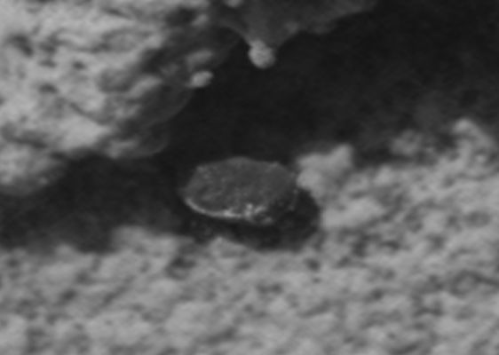 Is this just a "Small Flat Rock"? - Sol 714 (EDM n.2 - credits for the additional process.: Dr Marco Faccin - Lunexit Team)
Come sapete, se siete dei Lettori fedeli ed assidui di Lunexit, la nostra posizione "finale" su qualsiasi frame il quale presenti caratteri "anomali" nel suo contesto è e sarà SEMPRE una posizione pragmatica ma anche, in determinati casi ed a determinate condizioni, "possibilista". 

E questo è uno di quei "casi" in cui, a nostro modestissimo parere, non ci è possibile - alla fine dell'analisi - nè optare per l'Ipotesi Esotica (presenza di una Forma Vitale Indigena), per evidente carenza di sufficienti elementi di supporto, nè optare per l'Ipotesi "Classica" (trattasi di semplice roccia), per evidente presenza di svariati elementi che SEMBRANO suggerire scenari diversi.
Su tutti, oltre alla forma e colore del Dettaglio - i quali lo distinguono nettamente dai suoi dintorni, con ciò rendendolo "Anomalo" (nel senso di 'fuori-contesto') - diremmo che è proprio la configurazione esteriore (e cioè la "posizione") dell'Anomalìa, in relazione al contesto al quale Essa accede, che rende quanto ripreso del tutto particolare e, a nostro avviso, intrigante.

Ognuno di Voi, poi (ed ovviamente), potrà trarre le conclusioni che ritiene più opportune. Quello che era il nostro compito (e cioè EVIDENZIARE un Dettaglio intrigante), grazie al Lavoro del nostro Amico e Partner, Marco Faccin, è stato assolto. Ed ancora una volta, per coloro che vogliono "vedere" oltre che "guardare", c'è tantissimo Food-for-Thoughts"!

Complimenti grandissimi, as usual, al nostro Titanio44!!!
Parole chiave: Martian Surface - Controversial Surface Feature - "The Snake-Head"