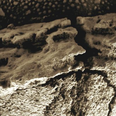 Under the Crack... - Sol 727 (Superdefinition + MULTISPECTRUM; credits: Dr G. Barca & Lunexit)
nessun commento
Parole chiave: Microscopic Imager - Berries and Madreporic-like material - Controversial