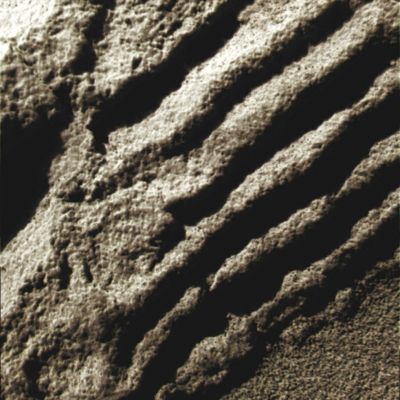 Rocky Steps... - Sol 732 (Superdefinition + MULTISPECTRUM; credits: Dr G. Barca & Lunexit)
nessun commento
Parole chiave: Microscopic Imager - Unusual Surface Feature