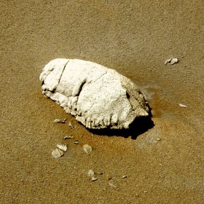 The "Armour" - Sol 881 (natural colors; credits: Dr G. Barca & Lunexit)
nessun commento
Parole chiave: Martian Surface - Unusually-looking Surface Feature - The "Armour"