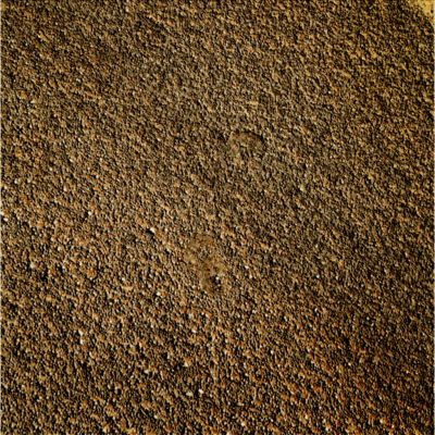 The Surface of Meridiani Planum... - Sol 911 (True Colors; credits: Dr G. Barca & Lunexit)
nessun commento
Parole chiave: Martian Surface - Meridiani Planum