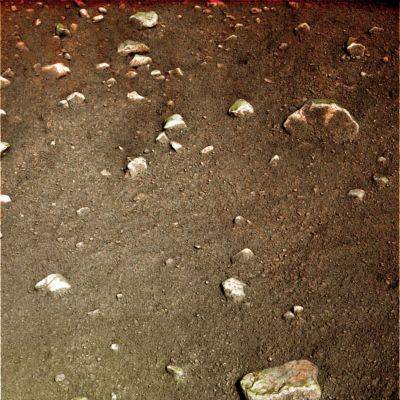 Green Signs... - Sol 3 (natural colors; credits: Dr M. Faccin)
...Segni di muffe e muschi, o errore di processing?...

Un nuovo ed ECCEZIONALE Lavoro del Dr Faccin per meravigliarsi, valutare e discutere.
Parole chiave: Martian Surface - Possible Mold and Moss