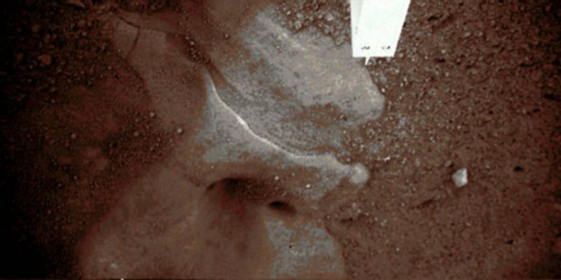 ICE!!!!! - Sol 7 (True Colors; credits: Dr Marco Faccin)
Una roccia? Noi, dopo aver esaminato l'immagine processata in Colori Veri (grazie al Dr Faccin), siamo dell'idea che questo sia Ghiaccio.

Un bel "blocco di ghiaccio d'acqua", di colorito bianco/azzurro.

Ed una piccola nota: Lunar Explorer Italia è la PRIMA Libera Associazione di Ricerca al Mondo che Vi presenta questi frames (probabilmente di valore Storico) in True Colors!

E scusateci se non è abbastanza...
Parole chiave: Martian Surface - Ice