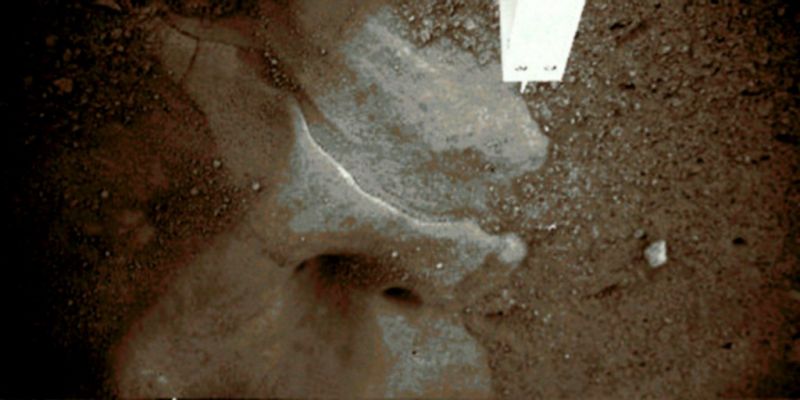 ICE!!!!! - Sol 7 (True Colors + MULTISPECTRUM; credits: Dr Marco Faccin & Lunexit)
nessun commento
Parole chiave: Martian Surface - Ice