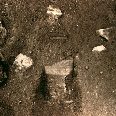 That's a "Scoop"! - Sol 7 (MULTISPECTRUM; credits: Lunexit)
June 1, 2008 -- TUCSON, Arizona

NASA's Phoenix Mars Lander reached out and touched the Martian Soil for the first time on Saturday, May 31, the first step in a series of actions expected to bring soil and ice to the Lander's experiments. 
The lander's Robotic Arm scoop left an impression that resembles a footprint at a place provisionally named Yeti in the King of Hearts target zone, away from the area that eventually will be sampled for evaluation. 
The impression in the soil was captured by Phoenix's Stereo Surface Imager. Features and locations around the Phoenix lander are being named for fairy tale and mythological characters. 

"This first touch allows us to utilize the Robotic Arm accurately. We are in a good situation for the upcoming sample acquisition and transfer," said David Spencer, Phoenix's surface mission manager from NASA's Jet Propulsion Laboratory in Pasadena, California. 
Phoenix's Robotic Arm Camera also took a number of images of the "Snow Queen" site of what is believed to be exposed ice under the lander. 

"What we see in the images is in agreement with the notion that it may be ice, and we suspect we will see the same thing in the digging area", said Uwe Keller, Robotic Arm Camera Lead Scientist from the Max Planck Institute for Solar System Research, Katlenburg-Lindau, Germany.
Parole chiave: Martian Surface - Disturbed Soil