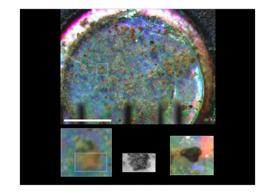 Particles of Soil on Silicone - Sol 17 (1 - credits: NASA/Univ. of Arizona)
New observations from NASA's Phoenix Mars Lander provide the most magnified view ever seen of Martian Soil, showing particles clumping together even at the smallest visible scale. 

In the past two days, two instruments on the lander deck -- a microscope and a bake-and-sniff analyzer -- have begun inspecting soil samples delivered by the scoop on Phoenix's Robotic Arm. 

"This is the first time since the Viking missions three decades ago that a sample is being studied inside an instrument on Mars," said Phoenix Principal Investigator Peter Smith of the University of Arizona, Tucson. 

Stickiness of the soil at the Phoenix site has presented challenges for delivering samples, but also presents scientific opportunities. "Understanding the soil is a major goal of this mission and the soil is a bit different than we expected," Smith said. "There could be real discoveries to come as we analyze this soil with our various instruments. We have just the right instruments for the job".

Images from Phoenix's Optical Microscope show nearly 1,000 separate soil particles, down to sizes smaller than one-tenth the diameter of a human hair. At least four distinct minerals are seen. 

"It's been more than 11 years since we had the idea to send a microscope to Mars and I'm absolutely gobsmacked that we're now looking at the soil of Mars at a resolution that has never been seen before," said Tom Pike of Imperial College London. He is a Phoenix co-investigator working on the lander's Microscopy, Electrochemistry and Conductivity Analyzer. 

The sample includes some larger, black, glassy particles as well as smaller reddish ones. "We may be looking at a history of the soil," said Pike. "It appears that original particles of Volcanic Glass have weathered down to smaller particles with higher concentration of Iron".

The fine particles in the soil sample closely resemble particles of airborne dust examined earlier by the microscope. 

Atmospheric dust at the Phoenix site has remained about the same day-to-day so far, said Phoenix co-investigator and atmospheric scientist Nilton Renno of the University of Michigan, Ann Arbor. 
Parole chiave: Microscopic Imager - Dust