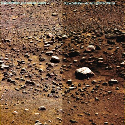Color Techniques' Comparison - Sol 39 (credits: Dr M. Faccin - Sx - and Lunexit - Dx)
Un nuovo esempio di comparazione fra tecniche di colorizzazione. Nella porzione di Sx del frame, il Lavoro in Superdefinizione ed estrazione dei colori (dunque "colori naturali") operato dal Dr Faccin e, nella parte di Dx, il resto del frame così come appare DOPO il "trattamento addizionale MULTISPECTRUM".

La differenza che ne deriva è, a nostro parere, molto evidente, ma Vi preghiamo - come sempre - di non ragionare in termini di "più bello" o "più brutto". La differenza tra le due elaborazioni, se la vogliamo riassumere nel modo più semplice possibile, è questa: la Superdefinizione, con l'estrazione dei colori naturali del frame NASA-RAW, ci fa vedere il paesaggio così come lo vede la fotocamera di Phoenix; il trattamento addizionale che abbiamo chiamato MULTISPECTRUM, invece, ci mostra il paesaggio così come lo vedrebbe un occhio umano.

Ricordate: le fotocamere di Phoenix (come dei MER Spirit ed Opportunity), raccolgono molta più luce di quanta ne raccolga l'occhio umano e, allorchè munite dei filtri adatti, colgono colorazioni e sfumature che alla nostra vista sono precluse. Il risultato, come si vede benissimo in questo montaggio, è che la "vista della fotocamera" è più acuta, più colorata, più definita e più luminosa, mentre la vista "umana" ci mostra il paesaggio con tinte più morbide ed uniformi, leggermente meno definite e meno luminose.

Questo paragone, come ovvio, non vuole dimostrare nulla, se non una cosa: le elaborazioni NASA in "approximate colors", NON mostrano il paesaggio nè in accordo ad una visione - diciamo così - "meccanica" (quella della fotocamera), nè in accordo ad una ideale - ma ragionevole - visione "umana".

Marte NON E' MONOCROMATICO!!!
Parole chiave: Martian Surface - Rocks of different sizes