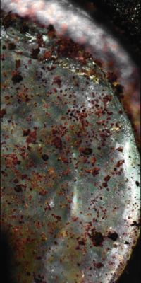 Microscopic Vastitas - Sol 137 (Superdefinition and possible True Colors; credits: Dr G. Barca)
nessun commento
Parole chiave: Microscopic Imager - possible Organic Particles