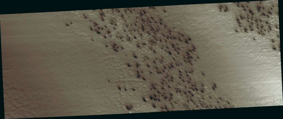 Fans Field (MULTISPECTRUM; credits: Lunexit)
At the very beginning of Spring in the Southern Hemisphere on Mars the ground is covered with a seasonal layer of CO2 ice. 
In this image there are 2 lanes of undisturbed ice bordered by 2 lanes peppered with Fans of dark dust. 

When we zoom in to the image, we see that the Fans are seen to be pointed in the same direction, dust carried along by the prevailing wind. The Fans seem to emanate from spider-like features. 

Image Data: the image is centered at -86,4° Latitude and 99,1° East Long. 
The range to the target site was 276,1 Km (about 172,6 miles). At this distance the image scale is 55,2 cm/pixel (with 2x2 binning) so objects ~166 cm across are resolved. 
The image was taken at 16:27 MLT (middle afternoon), with the Sun just 2° above the Local Horizon. 
Parole chiave: Mars from orbit - South Polar Region - Fans Field