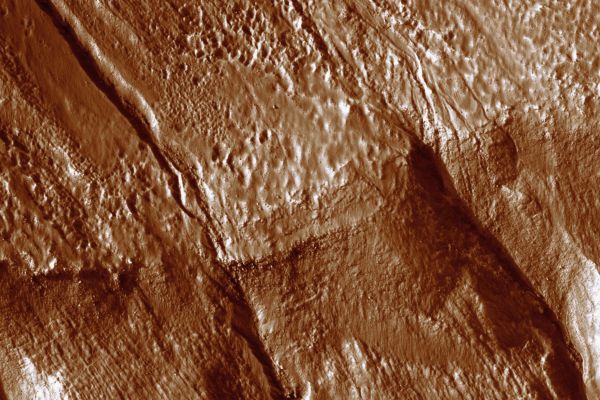 Gullies on the edge of Newton Basin (extra-detail mgnf)
The gullies start near the top of the wall and can be traced across a break in slope partway down the wall (see here, 750 mt across). This break in slope occurs along the entire portion of the Crater wall in this image. The gullies appear shallower just above the break in slope, and deeper below the slope break. 
This suggests that the fluid which eroded and carved out the wall materials forming the gullies, increased in velocity after the slope break, creating a deeper section of the gully.
Parole chiave: Mars from orbit - Craters - Newton Basin
