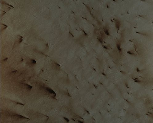 South Polar Dust Fans (EDM n.1 - Natural Colors; credits for the additional process. and color.: Dr Paolo C. Fienga - Lunexit Team)
nessun commento
Parole chiave: Mars from orbit - South Polar Regions - Dust Fans