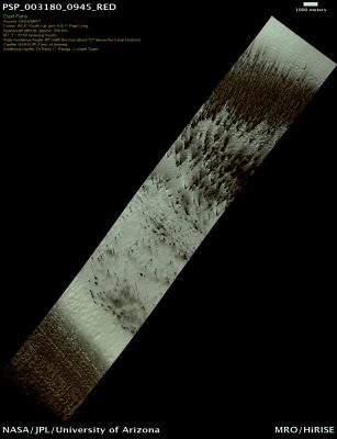 South Polar Dust Fans (Enhanced Natural Colors; Credits for the add. process. and color.: Dr Paolo C. Fienga)
nessun commento
Parole chiave: Mars from orbit - South Polar Region