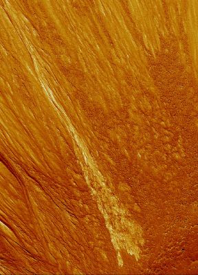 Bright Gully Deposit in Terra Sirenum (the "gully" - close-up; false colors)
The bright gully deposit has a very fluid-like appearance, and has not been covered by other gullies or debris flows, indicating a young age. The brightness is a mystery; it could be due to minerals formed from water or ice. 
Alternatively, the flow that made the gully may have removed a thin coating of relatively darker dust and soil, revealing a brighter substrate. 
In any case, this feature is probably indicative of recent flow of water or water-rich material on Mars.
Parole chiave: Mars from orbit - Gullies - Terra Sirenum