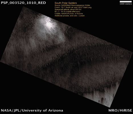 South Polar Spiders (ctx frame - MULTISPECTRUM-2; credits: Lunexit)
This image is located in the South Polar Region of Mars and we can see “spiders” likely caused by the sublimation of Carbon Dioxide ice. 
As this happens, the gas moves through channels until it reaches the surface and vents out. These vents show up as the dark streaks because they carry dust and dirt up to the surface.
Parole chiave: Mars from orbit - South Polar Region - Spiders
