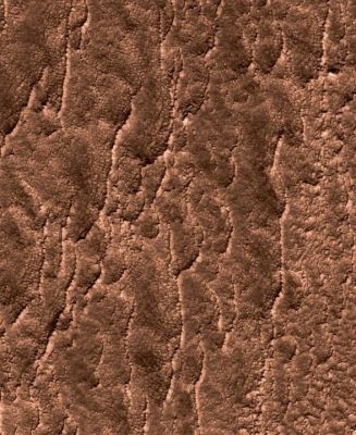 Debris Apron South of Euripus Mons (extra-detail mgnf - possible natural colors; elab. Lunexit)
A closer view of the upper portion of the image (see here), reveals that rough sharp scalloped ridges are particularly prominent. 
This scalloping may have resulted from sublimation of ice below the surface.
Parole chiave: Mars from orbit - Euripus Mons