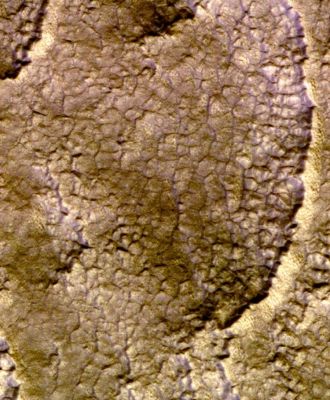 Debris Apron South of Euripus Mons (extra-detail mgnf - possible natural colors; elab. NASA)
At full resolution, Polygonal Features can be observed (see here), which are characteristic of Periglacial Terrains. These polygons form by the contraction and expansion of the ground due to freezing and thawing of ice just below the surface during seasonal changes. 

All of these features provides evidence that ice was or is present just below the surface at this location. This apron is not pockmarked with craters, suggesting it is relatively young in age.
Parole chiave: Mars from orbit - Euripus Mons
