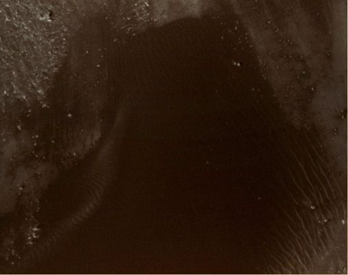 Very strange "Dark Spot" in Aureum Chaos (RAW Natural Colors; credits for the addituional process. and color.: Drr Gianluigi Barca and Paolo C. Fienga - Lunexit Team)
A questo livello di magnificazione, il "Dark Spot" si risolve, effettivamente, in un Campo di Dune (Dunefield) il quale si caratterizza, rispetto alle Ripples che ne costeggiano il versante Sud, per un colore molto scuro - ancorchè non nero, come invece esso appariva a risoluzioni più basse -, ma comunque decisamente differente rispetto al colore dell'ambiente circostante.
E' per questo motivo che abbiamo deciso di battezzare questo (comunque assai interessante) Campo di Dune come "Dark Dunefield".

Le Mega-Ripples del versante Sud dell'area di interesse (ben visibili anche a bassissima risoluzione) scompaiono e vengono "sostituite" (rectius: sono continuate - o continuano, se volete) da Mini-Ripples che, sostanzialmente, ricalcano la direzionalità delle loro "sorelle maggiori". Ma il dato interessante, a nostro parere, è che le predette Mini-Ripples sembrano essere state ricoperte dal materiale scuro (e più sottile, decisamente più sottile dell'altro materiale presente nella zona e che forma il terreno e le Ripples, sia Mega che Mini) il quale, a risoluzioni basse, faceva assomigliare l'intero rilievo ad una sorta di "Lago". 

Un altro elemento di sicuro interesse deve essere rinvenuto nella presenza, sul versante Nord dell'area in oggetto (diciamo sulla Sx dell'Ossefvatore e ad ore 9 del quadrante), di una configurazioni superficiale piuttosto comune per Marte e che noi abbiamo battezzato come "pseudo-ruscello" (si tratta, probabilmente, di un'area sabbiosa - formate da un mix di particolato e sabbie più sottili di quelle che formano le Mega-Ripples - le quali vengono battute da correnti superficiali molto intense ed incoerenti rispetto al Regime dei Venti Dominanti sull'intera Regione (si veda la loro orientazione e configurazione rispetto alla configurazione ed orientazione delle Mega-Ripples per comprendere meglio quanto cerchiamo di spiegare).

Il motivo della differenza (nettissima) di colore fra le Mega-Ripples, il Dark Dunefield e lo pseudo-Ruscello ci è ignoto, ma possiamo ragionevolmente supporre che esso vada rinvenuta nell'esistenza NON SOLO di mineralogie diverse fra le tre configurazioni superficiali (evento tutt'altro che improbabile su aree sostanzialmente intatte da ere - pristine areas), ma anche una loro differente durezza e, sooprattutto, compattezza (la quale determina la loro resistenza al vento e, dunque, all'erosione.

Circa la profondità del Dark Dunefield, possiamo ritenere che sia davvero poca cosa (nell'ordine dei centimetri), dato che si riescono a distinguere non solo le Mini-Ripples che sono state ricoperte dal materiale scuro, ma anche svariate rocce e boulders di dimensioni inferiori ai 50 cm, che "emergono" dal "Lago" stesso.

In ogni caso, l'eventualità che il Dark Dunefield possa essere effettivamente una sorta di "Lago di Fango" (rappreso?), comunque, a questo punto e con il materiale disponibile, non può essere ancora scartata.
Parole chiave: Mars from orbit - Aureum Chaos Region - Controversial