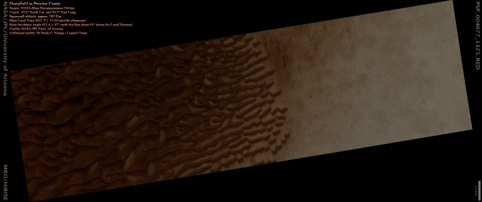 Large Dunefield inside Proctor Crater (Absolute Natural Colors; credits for the additional process. and color.: Dr Paolo C. Fienga - Lunexit Team)
Image PSP_004077_1325 shows the edge of a Dark Dunefield on the Floor of Proctor Crater, an about 150 Km diameter Crater located in the Southern Highlands of Mars.

The Dark Dunes are composed of Basaltic Sand that has collected on the bottom of the Crater. Dark Dune "Slip Faces" - such as the steeper (---> più ripido) sides of the Dunes - are located on the Eastern side of the Dunes and are believed to have formed in response to Fall and Winter Westerly Winds caused by geostrophic forces (winds balanced by Coriolis and pressure gradient forces). 
Superimposed on their Surface are smaller Secondary Dunes that are commonly seen on terrestrial Dunes of this size. 

Many smaller and brighter bedforms, most likely small Dunes or granule Ripples, cover the substrate between the larger Dark Dunes as well as most of the Floor of Proctor Crater. The Dark Dunes overlie the small bright bedforms indicating that they formed more recently. 
In several areas, however, the dark dunes appear to influence the orientation of the small bright Dunes, possibly by Wind flowing around the larger ones, suggesting that both dark and bright bedforms are coeval. 

The Dunes in Proctor Crater may still be active today, moving in response to Martian Winds. 
Parole chiave: Mars from orbit - Craters - Proctor Crater