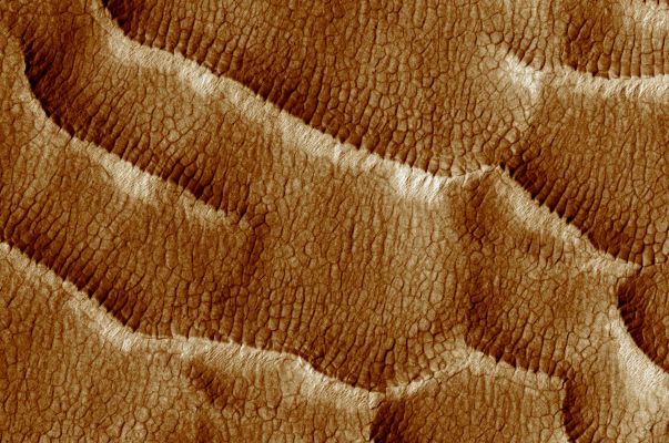 Flow-like Features in Promethei Terra (extra-detail mgnf)
The subimage (approx. 390 x 260 meters) shows in detail some of the ridges developed in the slope deposits. Numerous fissures cut through the surface, forming polygons 5 to 10 mt (5,5 to 11 yards) across. 
Such well-preserved polygons indicate that the downhill flow had stopped before they formed. Polygonal features similar to these are common in terrestrial periglacial regions such as Antarctica, where ice is present at or near the surface. Antarctica's polygons formed by repeated expansion and contraction of the soil-ice mixture due to seasonal temperature oscillations.
Parole chiave: Mars from orbit - Promethei Terra