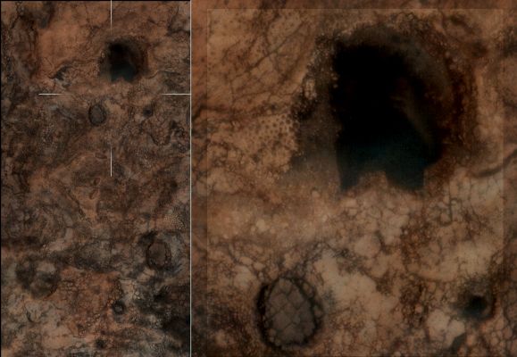 Extremely unusually-looking Surface Features in Mawrth Vallis (Natural Colors; credits: Dr M. Faccin & Lunar Explorer Italia)
Per gli Appassionati di autentiche "Stranezze Marziane", un frame MRO selezionato dal Dr Faccin - e colorizzato in possibili Colori Naturali - ci mostra qualcosa di DAVVERO ESOTICO (se non altro a nostro parere...) nei pressi del probabile Collapse Pit che vedete in alto - nel ctx frame - e supermagnificato a Sx (crop dalla versione JP2000 del frame PSP_006742_2050).

Si potrebbe trattare di "orme" (o di "tracce", se volete restare pragmatici) di qualcosa che si è diretta verso il pozzo da subsidenza sul cui fondo sembra giacere una melma grigio-verdastra dalla texture assolutamente indefinibile - ma che ben potrebbe essere semi-liquida? 
Forse.
O forse no.

Comunque, fantasia per fantasia, a noi piace di più osservare questo tipo di features, piuttosto che cercare "città" e "piramidi" ad ogni angolo del Pianeta...
Parole chiave: Mars from orbit - Mawrth Vallis