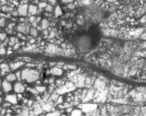 Unusual Surface Features in Mawrth Vallis Channel: the "Black Box" (EDM - credits for the additional process.: Dr Gianluigi Barca - Lunexit Team)
nessun commento
Parole chiave: Mars from orbit - Mawrth Vallis - Controversial Feature - The "Black Box"