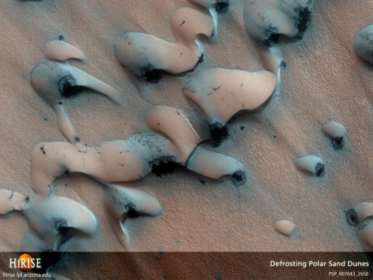 Sand Dunes Thawing on Mars (False Colors; credits: NASA)
Caption NASA:"What are these strange shapes on Mars? Defrosting sand dunes. 
As spring now dawns on the Northern Hemisphere of Mars, dunes of sand near the pole, as pictured above, are beginning to thaw. 
The Carbon Dioxide and water ice actually sublime in the thin atmosphere directly to gas. Thinner regions of ice typically defrost first revealing sand whose darkness soaks in sunlight and accelerates the thaw. The process might even involve sandy jets exploding through the thinning ice. By Summer, spots will expand to encompass the entire dunes. The Martian North Pole is ringed by many similar fields of barchan sand dunes, whose strange, smooth arcs are shaped by persistent Martian Winds".
Parole chiave: Mars from orbit - Dunes - North Polar Regions