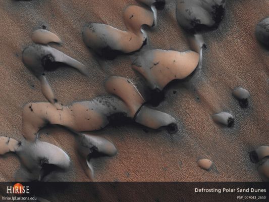 Sand Dunes Thawing on Mars (Natural Colors; credits: Lunexit)
nessun commento
Parole chiave: Mars from orbit - Dunes - North Polar Regions