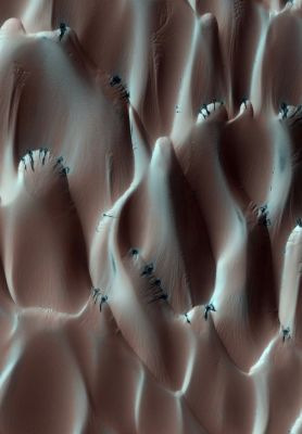 Defrosting Northern Dunes (extra-detail mgnf - MULTISPECTRUM; credits: Lunexit)
This extra-detail mgnf shows a Region of the dunes that are just beginning to lose their seasonal ice cover. In most of the image the dunes are a muted red color. Where the sun is shining on the steep dune crests the frost is gone and dark dust is free to cascade down the sides. This thin layer of dust, like slope streaks found elsewhere on Mars, flows down around obstacles and may come to rest mid-slope.
Parole chiave: Mars from orbit - Dunes - Northern Regions