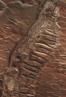 Finely-Layered Rocks in Ius Chasma (extra-detail mgnf - MULTISPECTRUM; credits: Lunexit)
Much of this Region has been covered by dust and sand, which appears brownish-red. This material is eroded by wind over time and allows us to see the light-toned rock underneath the surface. 
There are also dunes that obscure portions of the outcrop.

Many outcrops within Ius Chasma and elsewhere on Mars are covered by such dunes and dust, but the high spatial resolution of instruments such as HiRISE and CRISM allow us to see the Geology and Mineralogy of regions between these dunes to help unravel the Geologic History of Mars.
Parole chiave: Mars from orbit - Dunes - Ius Chasma Region