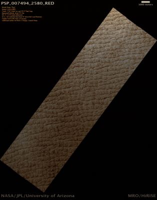 North Polar "Erg" (Natural Colors; credits for the additional process. and color.: Dr Paolo C. Fienga - Lunexit Team)
nessun commento
Parole chiave: Mars from orbit - North Polar Features - Erg