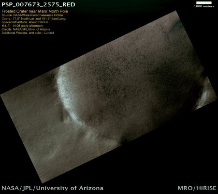 Frosted North Polar Crater (MULTISPECTRUM; credits: Lunexit)
This image was taken over the North Polar Region of Mars, just South of the Layered Ice Cap. 
The image shows a 10 Km diameter impact crater during Northern Spring, still covered by Carbon Dioxide ice/frost, and perhaps some water ice/frost.
There are color variations due to the presence of reddish dust mixed with the ice/frost in different proportions, and the dark and relatively blue spots form when CO2 is released in small jets from beneath the ice. 
There are no clear examples of small impact craters superimposed on the large crater, although there are many shallow depressions that might be degraded craters. 
This seems puzzling because small (approx. 10 meters in diameter) craters form much more frequently than 10 Km craters. 
In fact, they form about a billion times more frequently! The reason why there aren’t any sharp small craters is due to the fact that the ice destroys them, and does so rapidly, compared with the cratering rate.

Ice on Mars does not melt in the current climate, but it does expand and contract with temperature variations and it can flow.
Parole chiave: Mars from orbit - North Polar Region - Frosted Crater