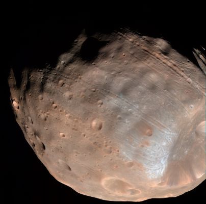 Phobos (Natural Colors; credits: NASA)
Phobos, and the second Martian moon, Deimos, are interesting for several reasons. Both objects are small, with average diameters of just 22 and 12 Km, respectively. 
At this size, their gravity is insufficient (less than 1/1000th of Earth) to pull them into spherical shapes, in contrast to the larger moons and planets in the Solar System.

Both moons are tidally locked to Mars, meaning, like our own moon relative to Earth, they present the same side to Mars all the time. The small size and composition (determined from spectroscopy) of Phobos and Deimos make them very similar to some asteroids. 
Most asteroids are located in a belt between Mars and Jupiter, with others having orbits that cross that of Mars. Therefore, it is possible that Phobos and Deimos are captured asteroids. 
Other hypotheses are that they formed with Mars in the early Solar System, or are composed of material blasted off of Mars by impacts.
Parole chiave: Mars' Moons - Phobos