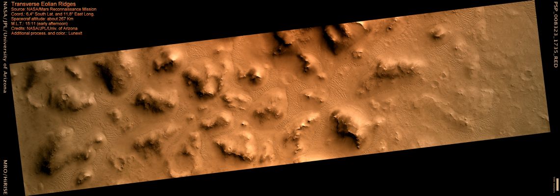 TARs and Unusual "Star Ripples" (MULTISPECTRUM; credits: Lunexit)
This blocky terrain is southwest of Schiaparelli Crater and is surrounded by a field of Transverse Aeolian Ridges (TARs) and unusual "Star Ripples" (dunes).

TARs are linear ripples with crest-ridge morphologies that can vary in shape; these morphologies include forked, sinuous, barchanoid, networked or feathered characteristics. The ridges also appear to transition into star dunes.

Star Dunes are complex features and are not yet fully understood on Earth. They form by multidirectional wind regimes with a dominant Primary Wind. Chains of Star Dunes often appear to have a massive linear appearance, or can be modified linear or Barchan Dunes with the formation of secondary slipfaces (on the steeper slope). On Earth, there are incipient Star Dunes, such as in the Dumont Dune field in the Mojave Desert, that display similar characteristics. The Dumont embryonic Star Dunes may result from dunes merging as they overrun one another, or are modified preexisting dunes, which could also be the case in this image. 

Martian weather models predict that the dominate wind comes from a South-Westerly direction. This direction aligns nicely with the Transverse Ripples and the main arms of the Star Ripples. 
This suggests that the Star Ripples were also affected by a different wind pattern or "Secondary Winds" or "Secondary Airflow". (Secondary Airflow is the airflow and sediment transport around the slopes of the dune).

Formation of incipient Star Dunes depends on the nature (strength, direction, and duration) of the Primary Wind and the volume of the sand to create the dune. Secondary airflow maintains the dune arms. The last factor is the deposition or removal of the sand by grainfall or grainflow avalanching. Grainfall and grainflow transports material from the main crestline slipface and along-slope or down-slope which maintains the secondary arm crest.
Parole chiave: Mars from orbit - Transverse Aeolian Ridges (TAR)