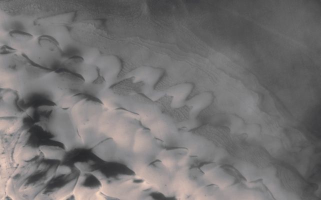 Polygons, Crater Layers, and Defrosting Dunes (edm n. 1 - MULTISPECTRUM-2; credits: Lunexit)
The dune morphology in this image is complex. Because of the presence of the ice, it is difficult to determine all of the dune types. These jumbled dunes may result from erosion of the layers within the crater walls that act as a dune source. However, two common types of dunes can be classified: the outer ring of the dune field is composed of chains of Barchan Dunes whereas the central area of the field contains transverse dunes. 

Barchans are characterized by their crescent-shape with steep horns in the downwind direction. The transverse dunes have asymmetric, nearly parallel ridges and are oriented perpendicular to the wind direction.
Parole chiave: Mars from orbit - Defrosting Dunes and Polygons