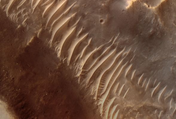 Subchannels in Kasei Valles (EDM - MULTISPECTRUM; credits for the additional process. and color.: Dr Paolo C. Fienga - Lunexit Team)
Caption NASA:"This Region is very dusty, and therefore Dust Streaks can be seen covering the flat Mesas. Within the Channels, large Dunes of Dust have formed from Winds blowing through the Channels themselves. On the steep Slopes of the Dunes, smaller set of Ripples can be seen".
Parole chiave: Mars from orbit - Kasei Valles