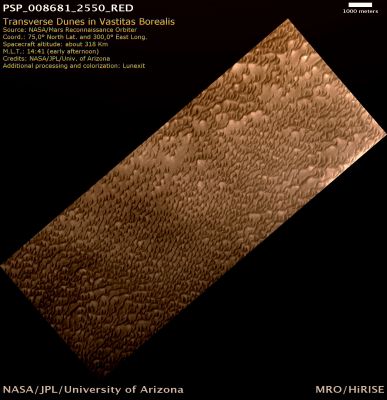 Transverse Dunes in Vastitas Borealis (natural colors; credits: Lunexit)
The Vastitas Borealis Region, or Northern Lowlands, is a large area of low-lying surface that surrounds Mars’ North Pole.

On average, the Region is 4-5 Km lower in elevation than the mean radius of the Planet. How this basin formed is not known, although researchers have postulated that it could have been the result of a very large-scale impact sometime in Mars’ distant past. As of this writing, it is Summer in the Martian Northern Hemisphere, allowing the HiRISE camera to image this Region in full sunlight.

The sinuous landforms are dunes composed of sand that is made of basalt (a volcanic rock) or gypsum (a hydrous sulfate). There is a transition of modified barchanoid (crescent shaped dunes, generally wider than they are long) and transverse chains into star dunes; the winds change a lot in this area. The orientation of the barchanoid and transverse dunes indicate that the winds that formed them blow from the East (right side of image). 
In some areas there are a few linear dunes. The light-toned, smaller bedforms are designated Transverse Aeolian Ridges (TARs). 



Parole chiave: Mars from orbit - Vastitas Borealis
