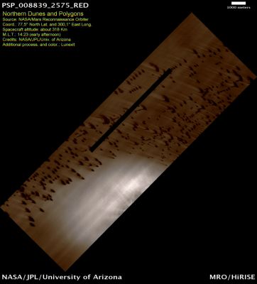 Dunes and Polygons (ctx frame - natural colors; credits: Lunexit)
At high Northern Latitudes, shallow troughs in the ice-rich ground form polygonal patterns. The polygons form over many years as the near-surface ice contracts and expands seasonally. 

On top of this patterned ground in this image are dunes. Loose sand and dust are blown across the hard-cemented surface until collecting and forming a dune. 
Streaks of dust are visible in the following edm-frame, coming from the horns of the dunes, while the higher portion of the dune blocks the dust from being blown across the surface. 

Small ripples are also visible, and the small bright spots are the remnants of the seasonal Carbon Dioxide (CO2) Polar Cap that coats this area in the Winter.
Parole chiave: Mars from orbit - Dunes and Polygons - Vastitas Borealis Region