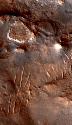 MER Spirit Rover at Martian Mid-Winter  (edm - natural, but enhanced, colors; credits: Lunexit)
nessun commento
Parole chiave: Mars from orbit - Gusev Crater