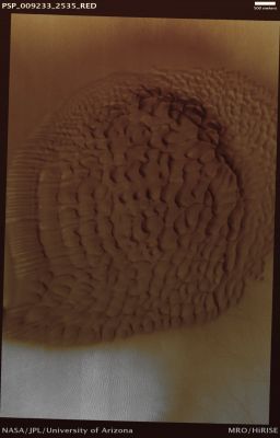Evolution of North Polar Dunes (ctx frame - natural colors; credits: Lunexit)
This small unnamed crater is adjacent to the North Polar Erg and contains a fascinating Dunefield. Scientists are interested in the source of the dunes in the crater and the evolution of the Dunefield’s circular shape.

Wind transports material and shapes the dunes; the dominant wind comes from a Westerly-SouthWesterly direction and forms barchans (crescent-shaped) and barchanoid dunes. Secondary winds also play a role in shaping the dunes. 
This can be seen in the Southern part of the Dunefield where the barchans transition into transverse dunes. On the northern edge of the dune field are opposite facing barchans formed by winds from the North-East.
Parole chiave: Mars from orbit - Dunes - Nort Polar Dunefield