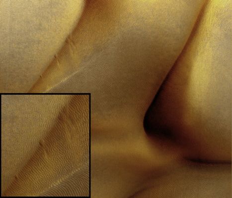 Evolution of North Polar Dunes (edm - natural colors; credits: Lunexit)
The circular shape of this Dunefield is interesting because the outer dunes reflect changing winds whereas the central dunes do not. 
This could indicate several distinct stages in the formation of the Dunefield. On top of the dark dunes are tiny ripples similar to those seen on top of sand dunes on Earth. 
It is likely that these dune ripples are active, as shown by avalanches (grainflow) from the crest of the dunes.
Parole chiave: Mars from orbit - Dunes - Nort Polar Dunefield