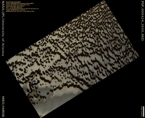 North Polar Dunes (Natural Colors; credits: Lunar Explorer Italia)
nessun commento
Parole chiave: Mars from orbit - North Polar Features - Dunes