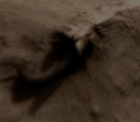 Worm-like Indigenous Lifeform? (Absolute Natural Colors; credits for the additional process. and color.: Dr Paolo C. Fienga - Lunexit Team) 
nessun commento
Parole chiave: Mars from orbit - Extremely Controversial Surface Feature