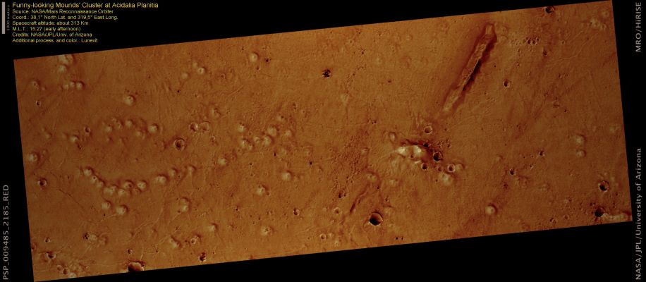 Clusters of Mounds at Acidalia Planitia (Extremely Enhanced and Saturated Natural Colors; credits for the additional process. and color.: Dr Paolo C. Fienga - Lunexit Team)
This HiRISE image shows clusters of light-colored Mounds poking through the Dark Plains of Acidalia. These Mounds are similar in shape and color to mounds identified elsewhere in the Northern Lowlands.

The mounds imaged here are approximately 250 meters (270 yards) across, and most of them have one or more central crater-like depressed areas, looking like terrestrial cinder cones. Terrestrial cinder cones are formed by loose volcanic fragments, mostly gravel- and boulder-size. In contrast, the surface of these Martian Mounds looks cemented rather than bouldery.
There are several hypothesis to explain the origin of these Martian Mounds; all of them require the presence of fluids near or at the surface. 
One hypothesis is that these mounds are Hydrothermal Spring edifices like those at Yellowstone. Terrestrial Hydrothermal Spring Mounds form when hot subsurface fluids, loaded with minerals, reach the surface and deposit their load.
Another possible explanation is that these Mounds are "Mud Volcanoes", similar to those found at Trinidad and Tobago. Mud Volcanism occurs when buried wet sediments are subject to high pressures and squeeze out though weak points at the surface.

Some terrestrial "Pseudocraters" are also similar to these Martian Mounds. Pseudocraters form when lava flows over wet terrains or over water bodies. The lava’s heat vaporizes the fluids, which then burst through the lava, producing small explosions and building conical landforms.
Parole chiave: Mars from orbit - Acidalia Planitia Region