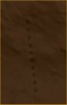 Star-like shaped Hill in Terra Tyrrhena (edm - possible True Colors; credits: Lunar Explorer Italia)
...Pubblichiamo questo extra-detail magnification (edm) girando a Voi la domanda postaci dal nostro Caro Amico "Cano00": questa striscia di puntini (si direbbero dei mini-segmenti scuri) allineati, che cos'è? E' un intrigantissimo rilievo superficiale, oppure è un image-artifact?

Ed in ogni caso: COMPLIMENTI a Cano00 per l'occhio (straordinario) che ha avuto!...
Parole chiave: Mars from orbit - Terra Tyrrhena Region - Controversial detail