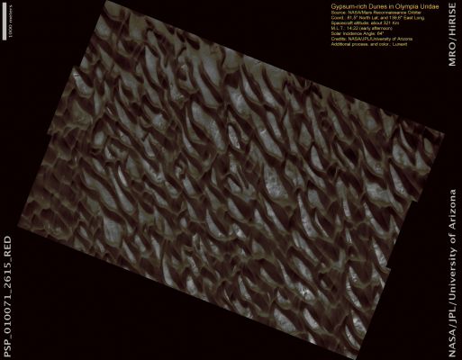 Gypsum-rich Dunes in Olympia Undae Region (natural colors; credits: Lunexit)
In this enhanced-natural color image are dunes within the largest collection of dunes on Mars, Olympia Undae, near the margin of the North Polar Layered Deposits, Planum Boreum. 
This section of Olympia Undae is particularly interesting because the dunes are rich in Gypsum (---> Gesso), a mineral that forms in the presence of water. The material comprising these dunes is thought to have eroded from geologic units near the base of the NPLD, but these units have poor to no gypsum content. 
Therefore, water likely affected these dunes after the sand had eroded out from the NPLD. Several ideas have been proposed to explain the formation of Gypsum, including hydrothermal (hot water) activity and melting of water-ice in the NPLD.
While gypsum dunes on Earth (for example, at White Sands, New Mexico) are white (the color of Gypsum), these Martian Dunes are dark due to the presence of basaltic grains that lower the brightness of the dunes. 
CRISM, another instrument on MRO, has found that the crests of the dunes are the most Gypsum-rich. So, what is the bright, polygonally-fractured material in the low spaces between the dunes? 
Perhaps it is Polar Ice lying beneath, desiccated (dried) gypsum material whose fine grain size makes it difficult for CRISM to detect, or something else altogether.
Parole chiave: Mars from orbit - North Polar Regions - Dunes
