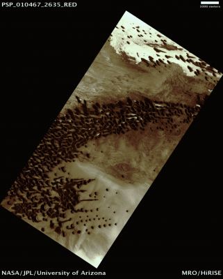 North Polar Dunes (Natural Colors; credits: Lunar Explorer Italia)
Mars Local Time: 14:01 (early afternoon)
Coord. (centered): 83,7° North Lat. and 121,7° East Long.
Spacecraft altitude: 319,7 Km (such as about 199,8 miles) 
Original image scale range: 64 cm/pixel (with 1 x 1 binning) so objects ~ 1,92 mt across are resolved 
Map projected scale: 50 cm/pixel
Map projection: EQUIRECTANGULAR 
Emission Angle: 0,1° 
Phase Angle: 70,3°
Solar Incidence Angle: 70° (meaning that the Sun is about 20° above the Local Horizon)
Solar Longitude: 144,5° (Northern Summer)
Credits: NASA/JPL/University of Arizona
Additional process. and coloring: Lunar Explorer Italia
Parole chiave: Mars from orbit - North Polar Features - Dunes