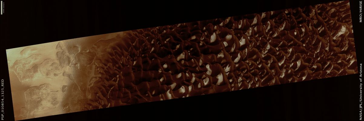 Proctor Crater Dunes (Natural Colors; credits: Lunar Explorer Italia)
In the winter the dunes in Proctor Crater are covered with seasonal carbon dioxide frost (dry ice). In the spring, the frost gradually evaporates but lingers in protected regions. In this color image bright ice deposits in sheltered areas highlight the ripples on the dunes.

These dunes were imaged during the first year of MRO’s mission. Images taken now in the second Martian spring can be compared to the previous year to study interannual variability.

Mars Local Time: 15:59 (middle afternoon)
Coord. (centered): 47,2° South Lat. and 34,0° East Long.
Spacecraft altitude: 254,5 Km (such as about 159,1 miles) 
Original image scale range: 50,9 cm/pixel (with 1 x 1 binning) so objects ~1,53 mt across are resolved 
Map projected scale: 50 cm/pixel
Map projection: EQUIRECTANGULAR 
Emission Angle: 8,2° 
Phase Angle: 70,3°
Solar Incidence Angle: 77° (meaning that the Sun is about 13° above the Local Horizon)
Solar Longitude: 160,1° (Northern Summer)
Credits: NASA/JPL/University of Arizona
Additional process. and coloring: Lunar Explorer Italia
Parole chiave: Mars from orbit - Craters - Proctor Crater