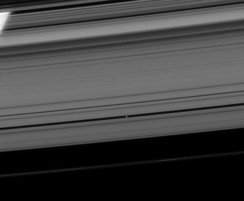 Almost invisible...
Caption NASA:"Pan coasts down its private highway within the Encke Gap. 
The process by which Pan (about 28 Km, or 17 miles across) maintains the gap, clearing the neighborhood around its orbit, is believed to be similar to the way that planets clear gaps in debris disks around young stars. This view looks toward the unilluminated side of the Rings from about 11° above the Ring-Plane. 
The limb of Saturn is seen through the Rings, at the upper left. 

The image was taken in visible light with the Cassini Spacecraft narrow-angle camera on April 24, 2008. The view was obtained at a distance of approx. 1,3 MKM (such as about 784.000 miles) from Pan. 
Image scale is roughly 8 Km (approx. 5 miles) per pixel".
Parole chiave: Saturn's Moons - Pan