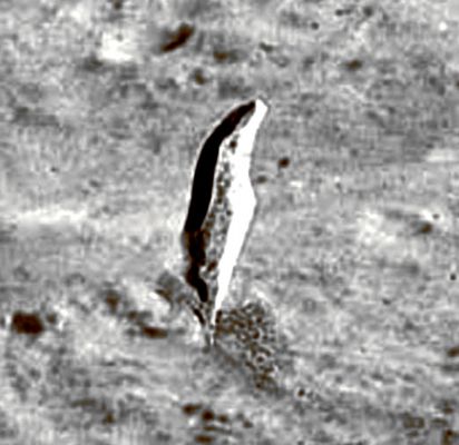 AS 15-84-11296 - The "Lunar Dolphin" (edm; color enhanced)
...Certezze, come detto, non ce ne sono, ma se questo "oggetto" è un image-artifact, allora si tratta di un image-artifact completamente nuovo...
Parole chiave: Lunar Features - Mount Hadley - Extremely Controversial Feature